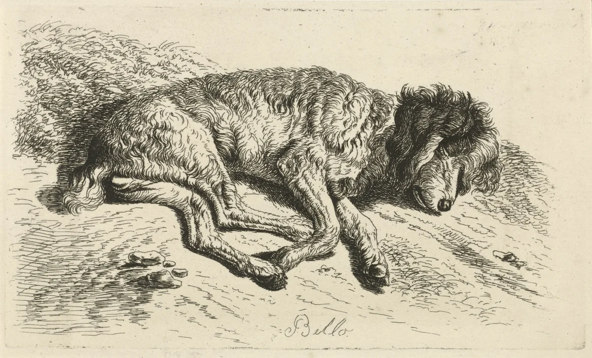 Slapende hond by Johannes Mock, print, 1825