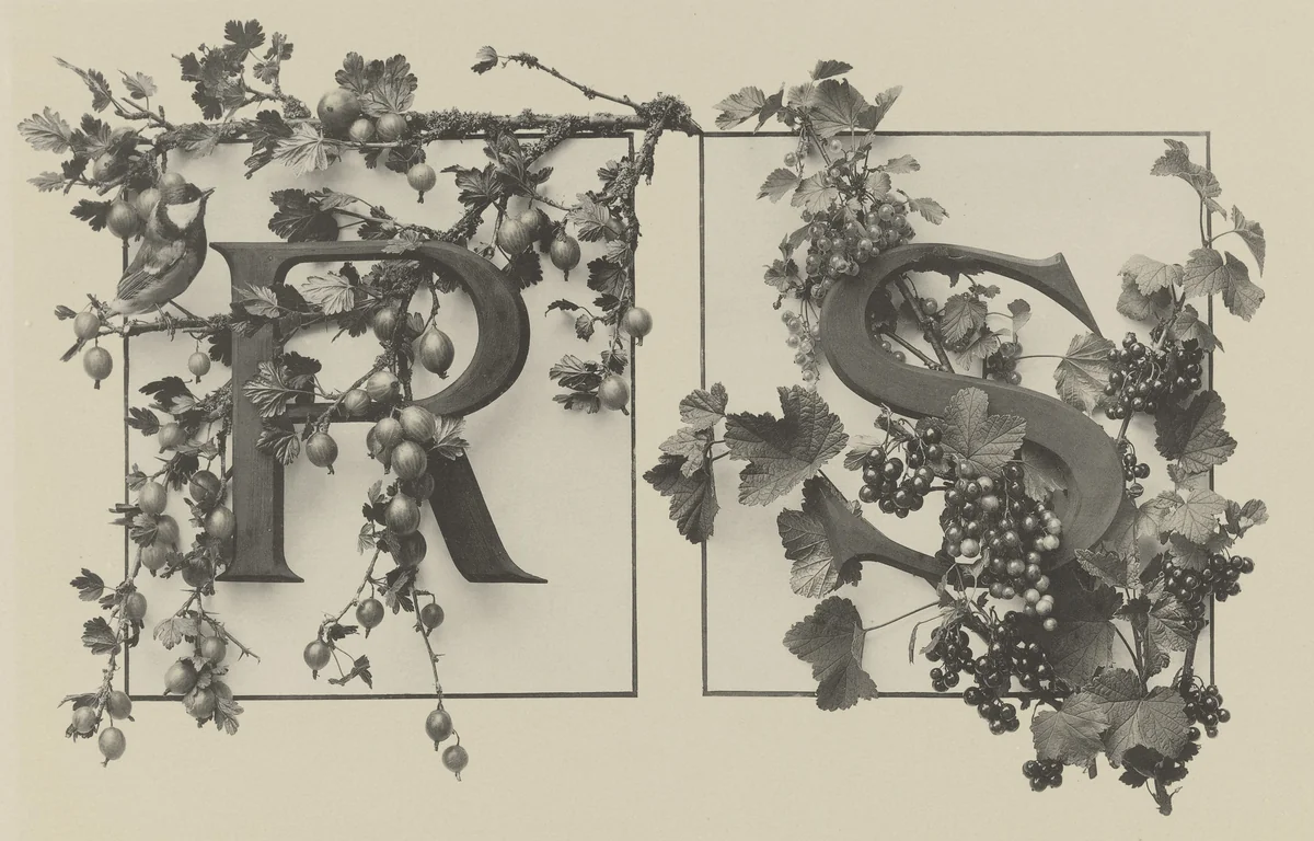 Page from Festons und Dekorative Gruppen by Unidentified Photographer, photograph, 1893