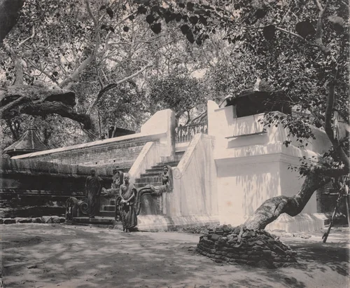 Monks Outside Temple, Ceylon by A. W. A. Plâté Studio, photograph, 1880-1889