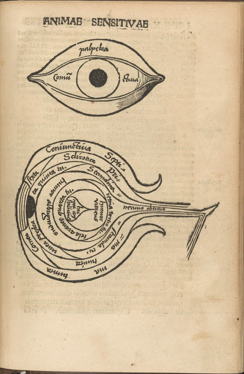 Margarita Philosophica by Urs Graf, book, 1504