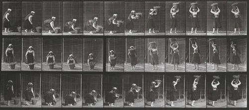 Plate Number 230. Lifting a 30-lb. basket from ground to head and turning by Eadweard Muybridge, photograph, 1887