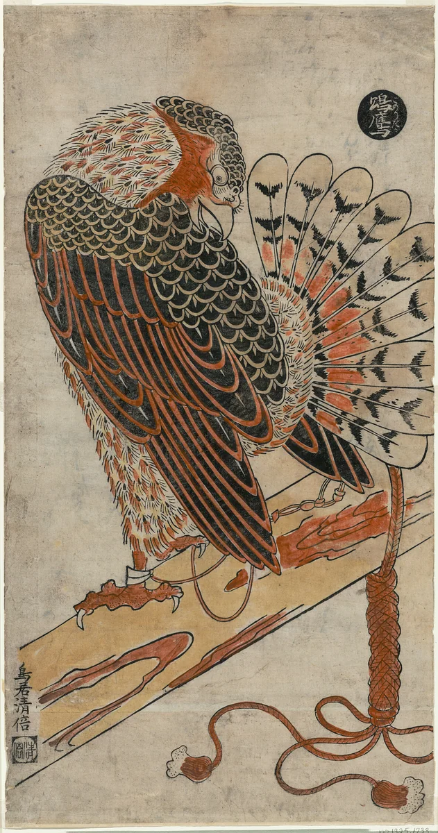 Sparrowhawk (Konori taka) by Torii Kiyomasu I, print, 1711-1721