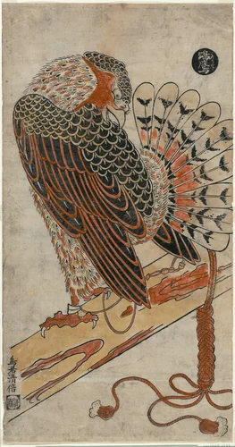 Sparrowhawk (Konori taka) by Torii Kiyomasu I, print, 1711-1721