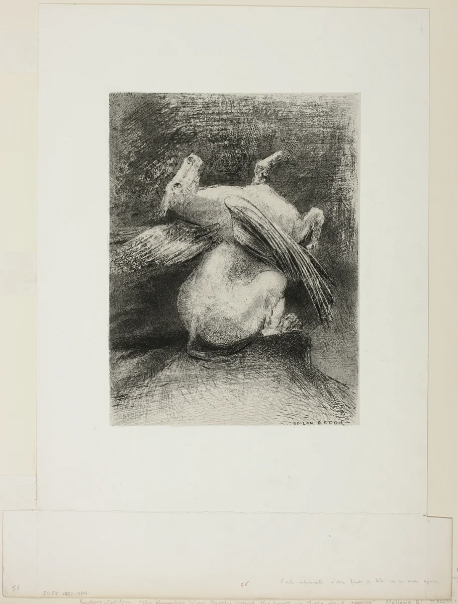 The Impotent Wing Did Not Lift the Animal Into That Black Space, plate 7 of 8 from "Les Origines" by Odilon Redon, print, 1883