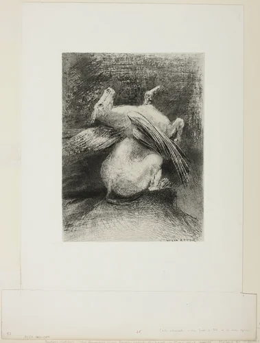 The Impotent Wing Did Not Lift the Animal Into That Black Space, plate 7 of 8 from "Les Origines" by Odilon Redon, print, 1883
