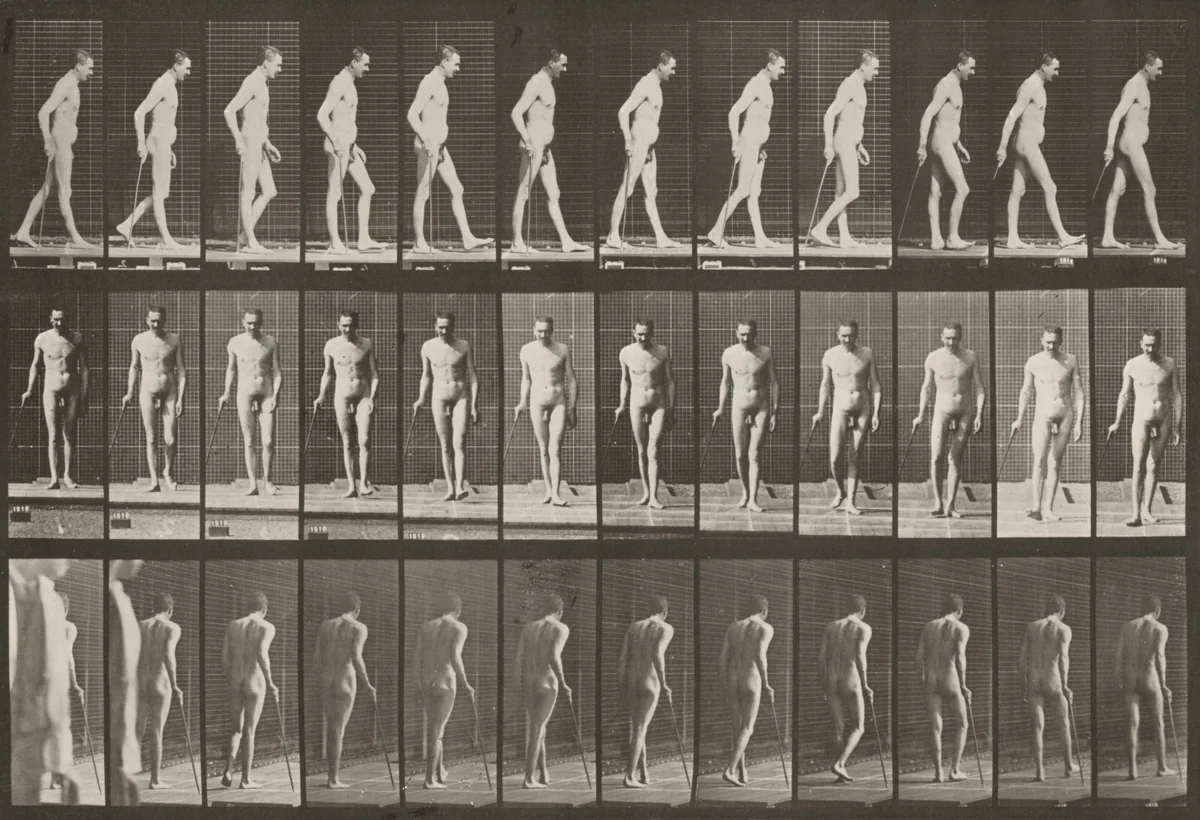 Plate Number 559. Partial paraplegia, walking with cane by Eadweard Muybridge, photograph, 1887