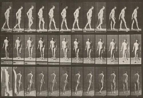 Plate Number 559. Partial paraplegia, walking with cane by Eadweard Muybridge, photograph, 1887