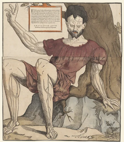 De aderen van het menselijk lichaam by Cornelis Anthonisz, print, 1525-1573