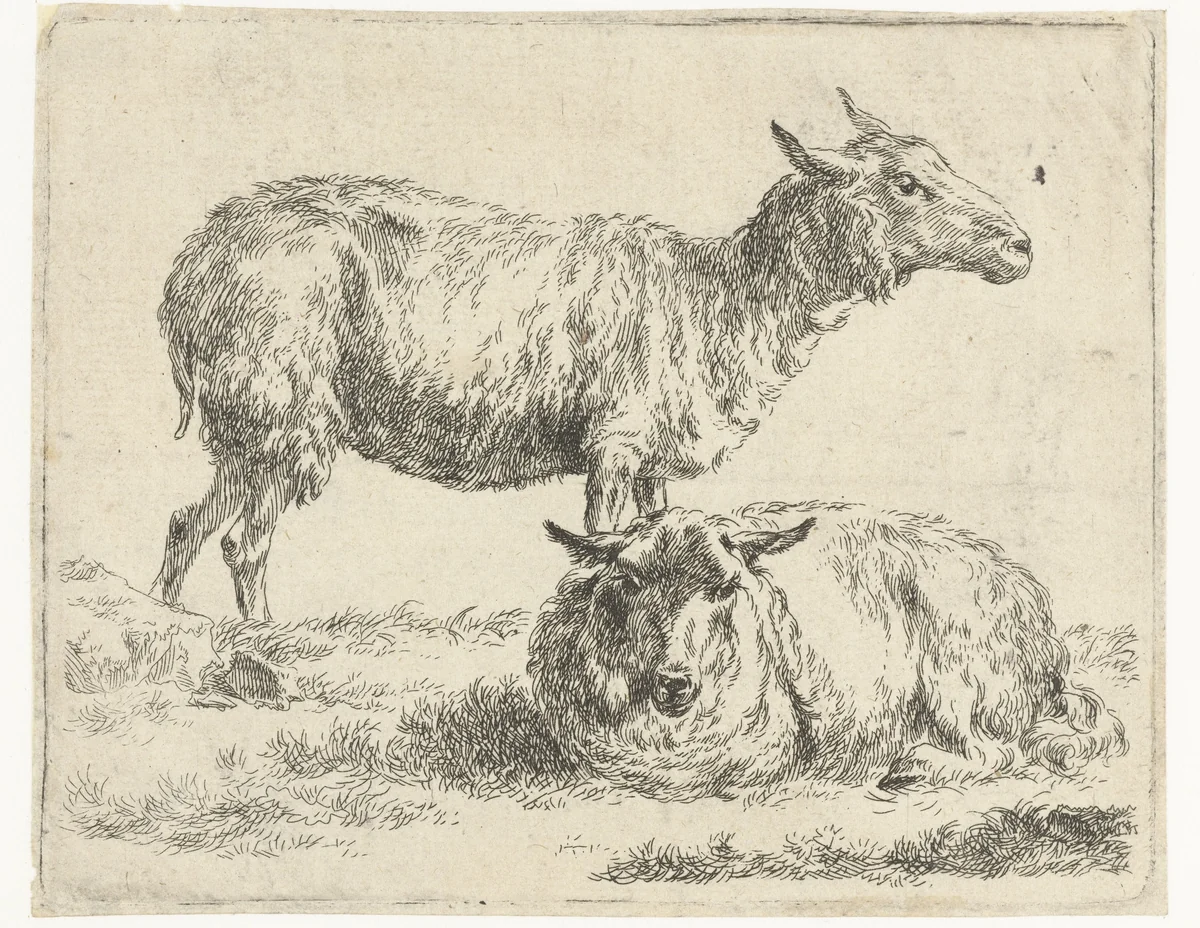 Staand en een liggend schaap by Nicolaes Pietersz Berchem, print, 1648-1652