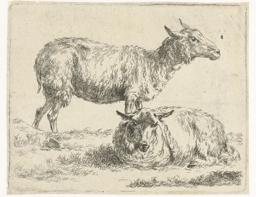 Staand en een liggend schaap by Nicolaes Pietersz Berchem, print, 1648-1652