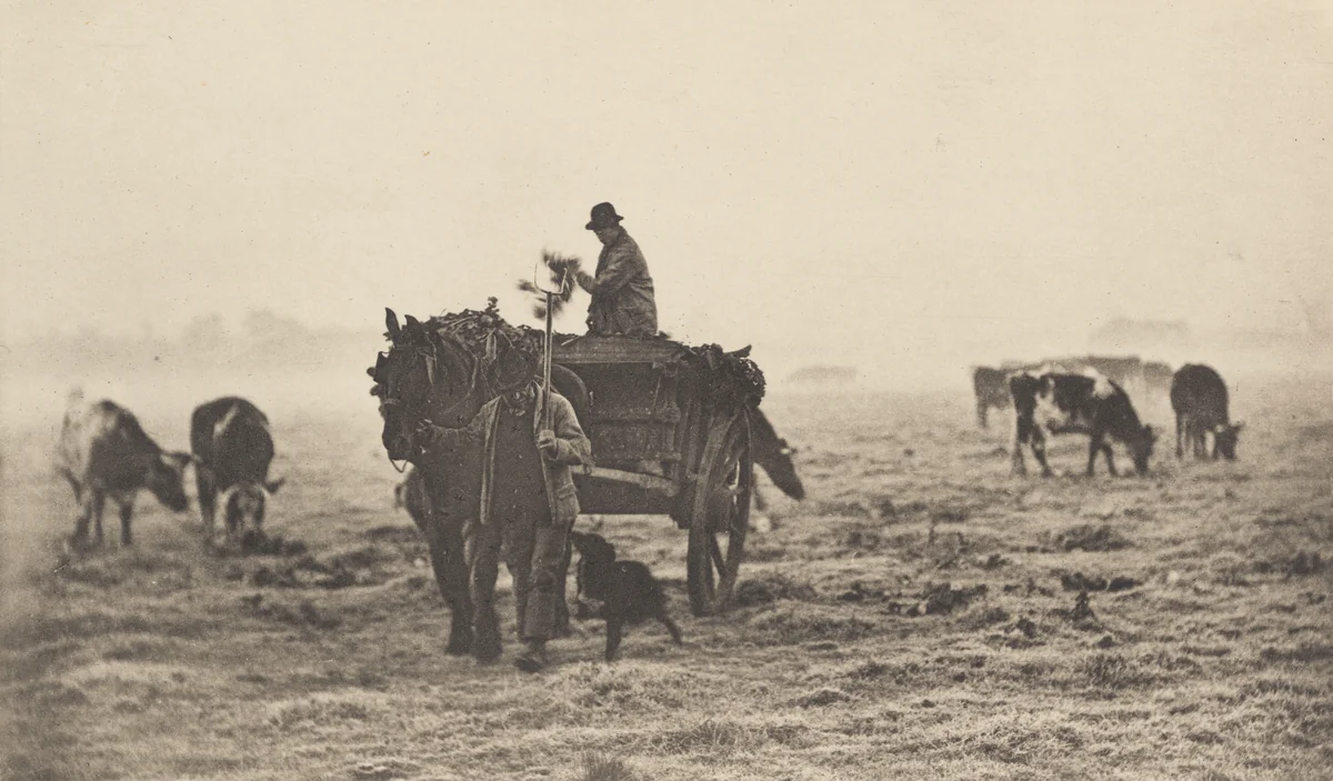 A Frosty Morning by Peter Henry Emerson, photograph, 1890-1891