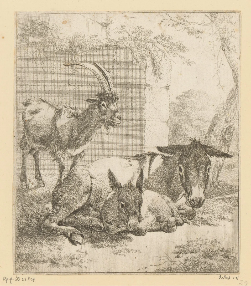 Liggende ezel met jong en staande geit by Johann Heinrich Roos, print, 1668-1670