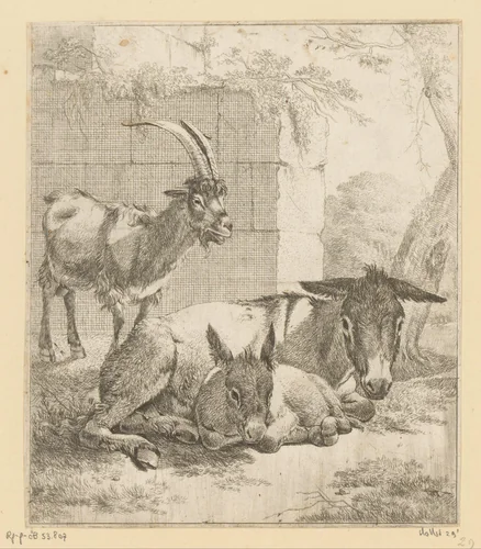 Liggende ezel met jong en staande geit by Johann Heinrich Roos, print, 1668-1670