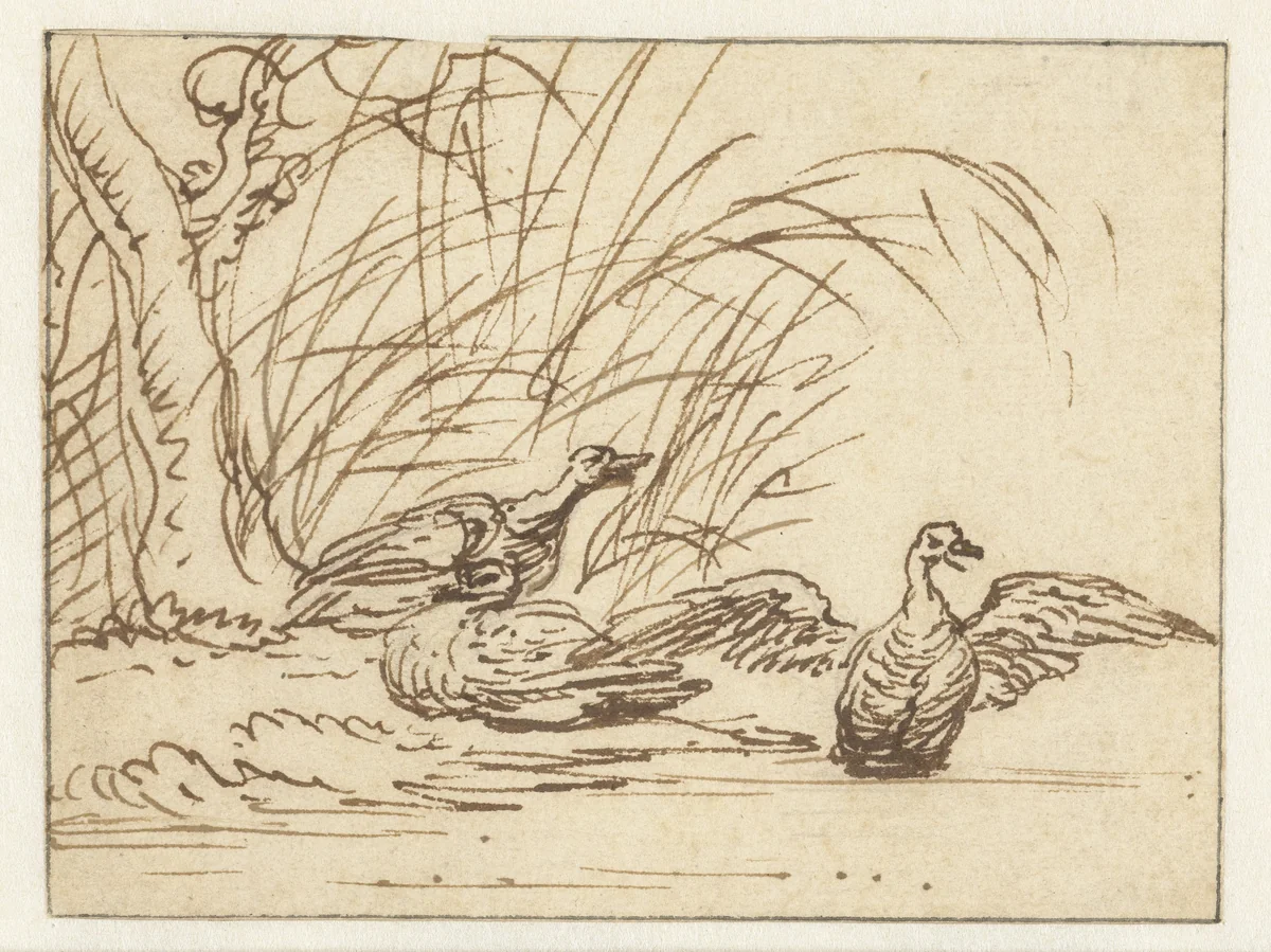 Drie eenden aan de waterkant by Anthonie van Borssom, drawing, 1640-1677