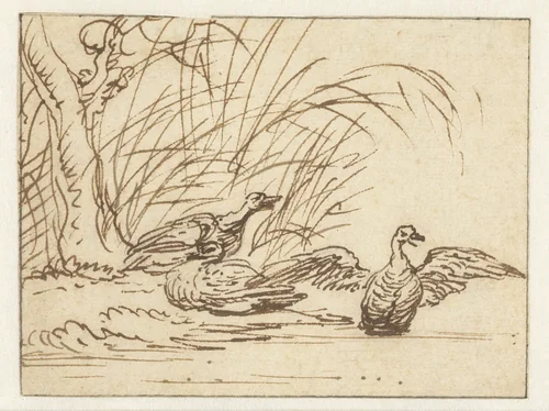 Drie eenden aan de waterkant by Anthonie van Borssom, drawing, 1640-1677