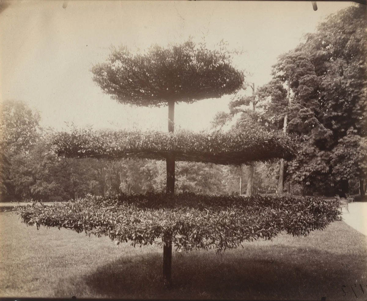 Bagatelle by Eugène Atget, photograph, 1922