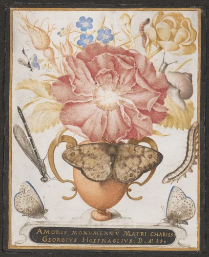 Still Life with Flowers, a Snail and Insects by Joris Hoefnagel, drawing, 1589