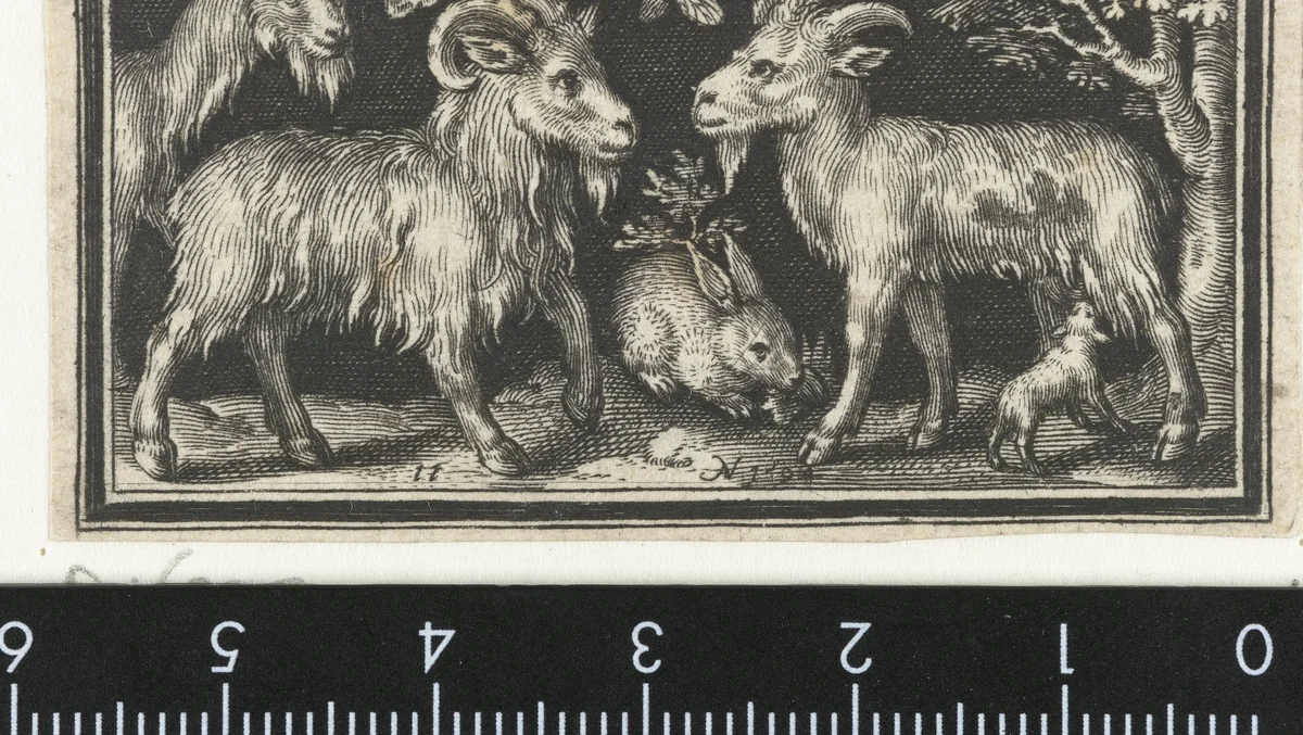 Geit en bok met jong by Unknown, print, 1594