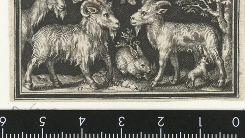 Geit en bok met jong by Unknown, print, 1594