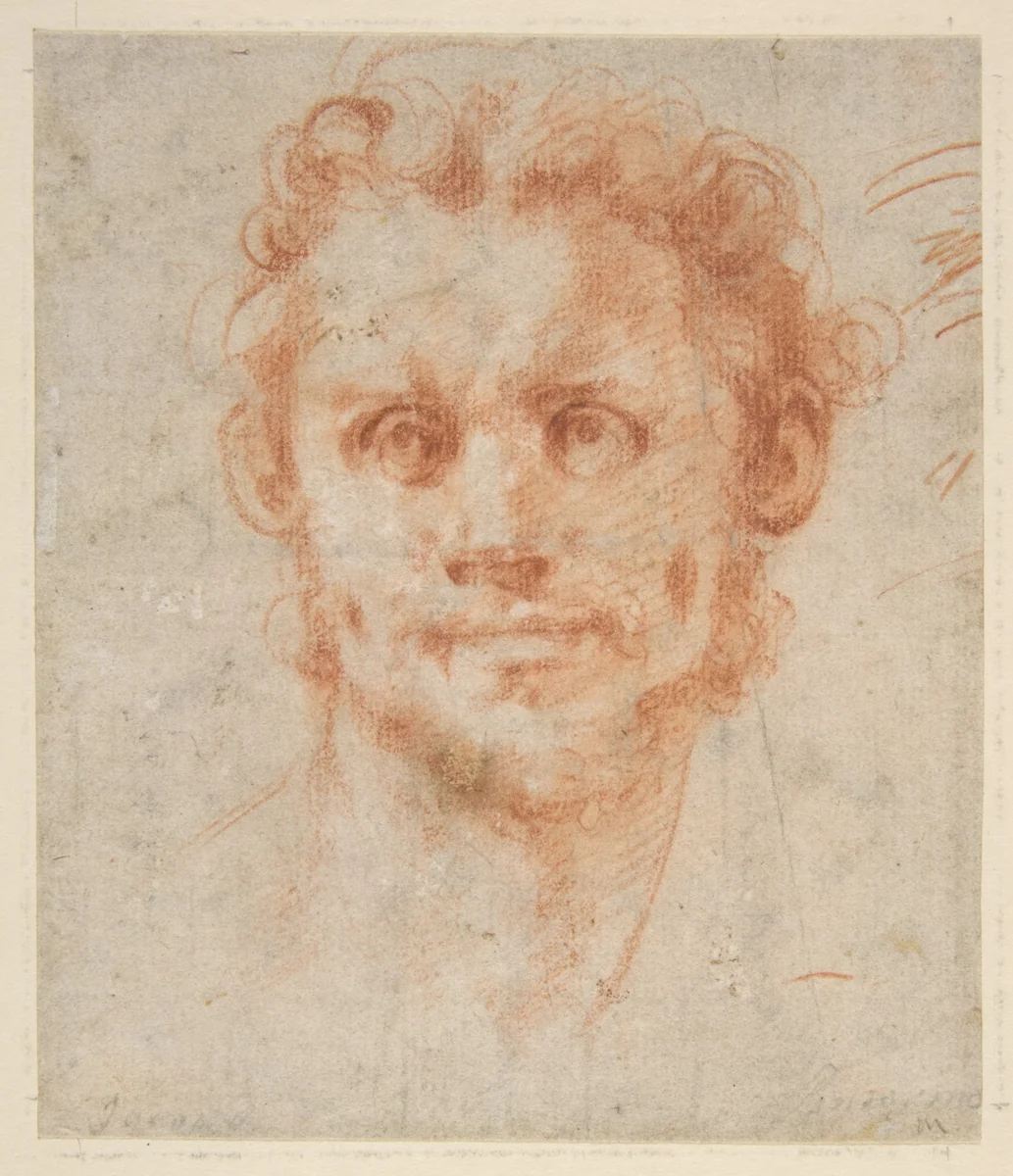 Study of a Man's Head by Jacopo da Pontormo, drawing, 1520-1525