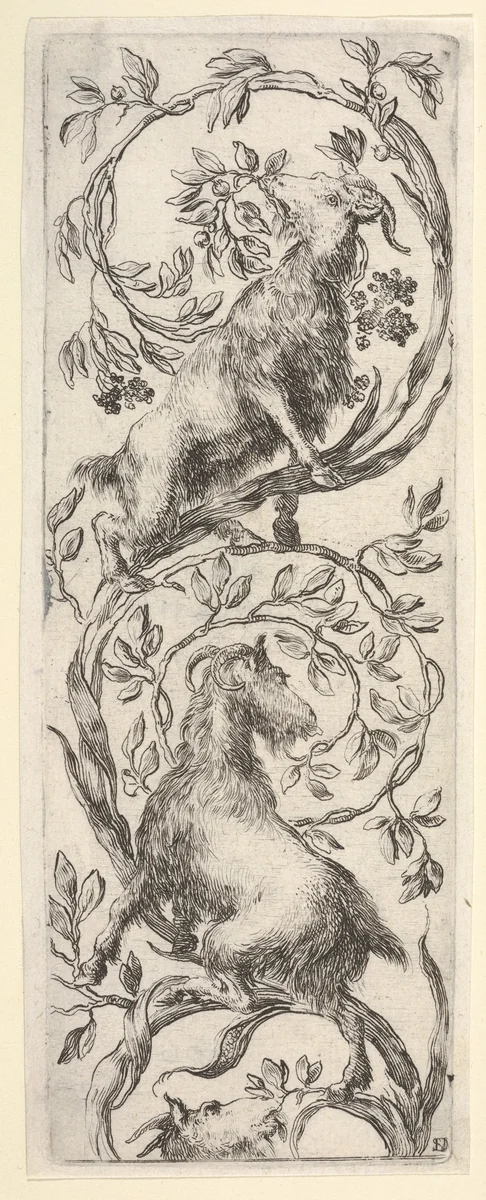 Three goats climbing a vine in the shape of a backwards 'S', from "Ornaments or Grotesques" (Ornamenti o Grottesche) by Stefano della Bella, print, 1650-1656