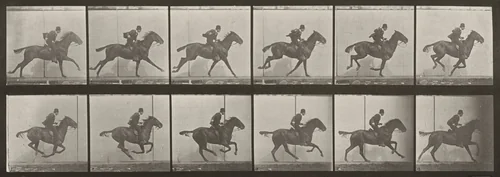 Plate Number 624. "Daisy" galloping, saddled by Eadweard Muybridge, photograph, 1887
