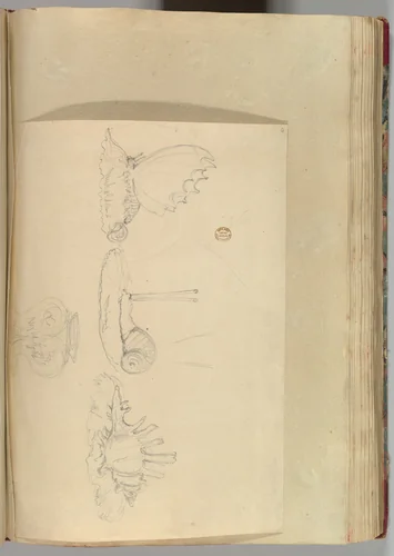 Sketches of Butterfly Pen-holder, a Shell Pen-holder and Snail Ring-holder, and a Vase by Alfred Forrester, drawing, 1845-1855