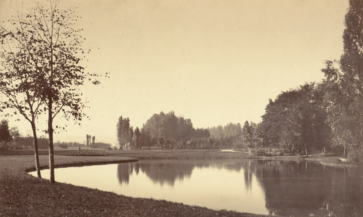 Bois de Boulogne by Charles Marville, photograph, 1858