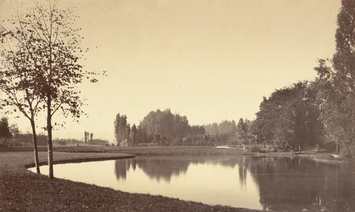 Bois de Boulogne by Charles Marville, photograph, 1858