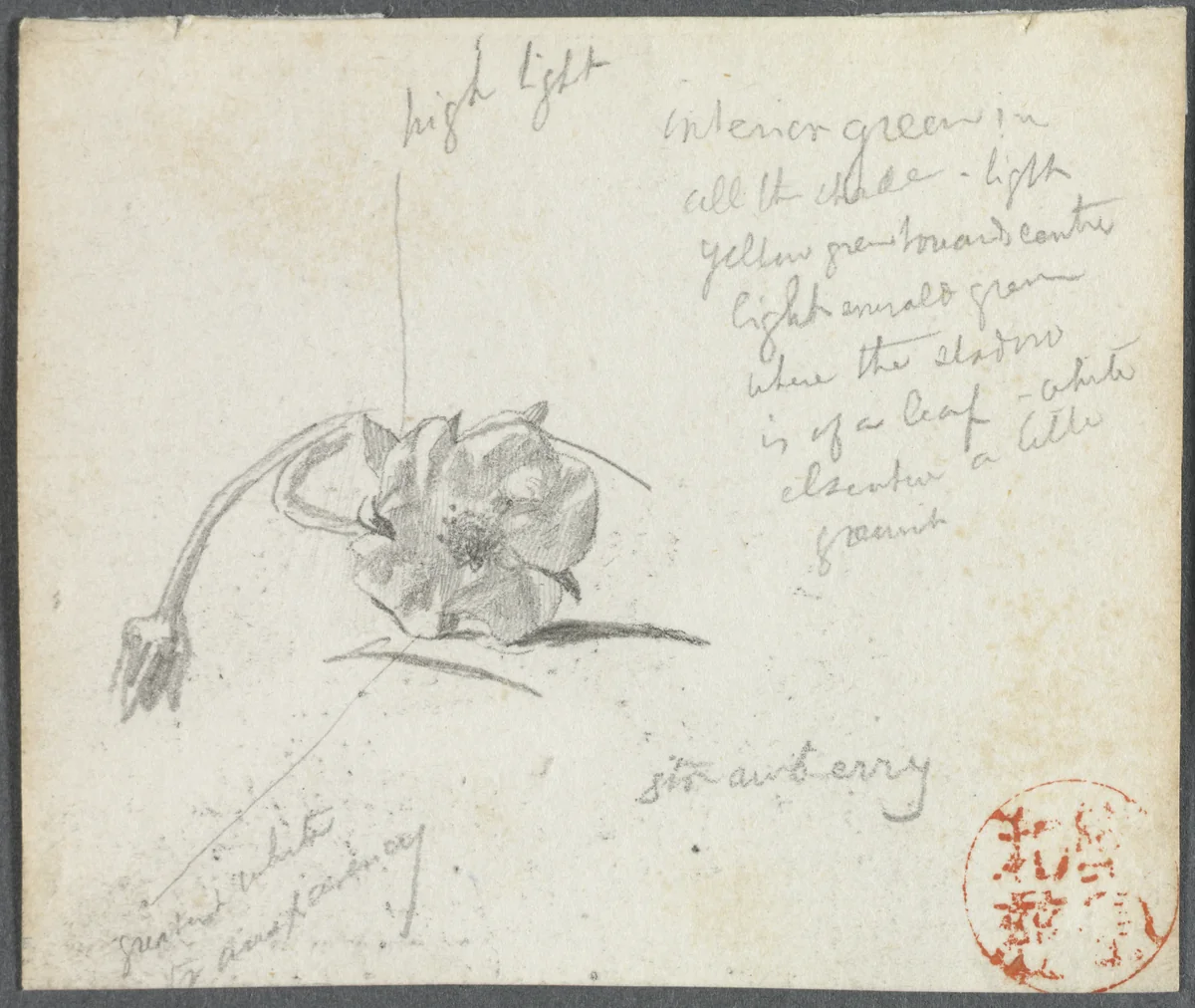 Strawberry Blossom by John La Farge, drawing, 1845-1910