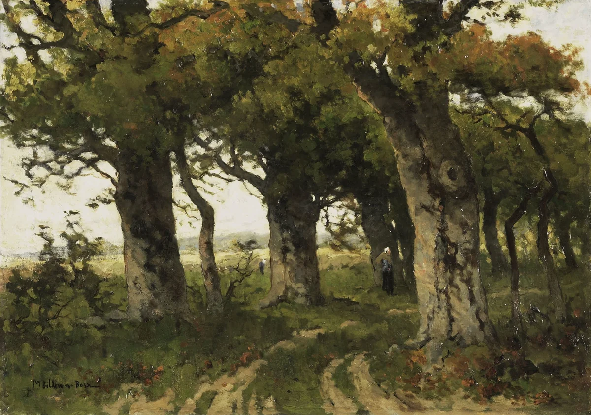Eikenlaan in de nazomer by Maria Bilders-van Bosse, painting, 1880-1900