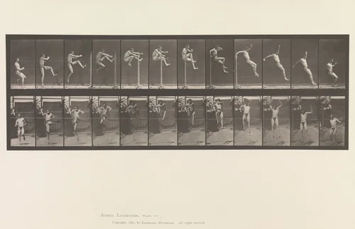 Animal Locomotion. An Electro-Photographic Investigation of Consecutive Phases of Animal Movements. Commenced 1872 - Completed 1885. Volume V, Man (Pelvis Cloth) by Eadweard Muybridge, book, 1880-1889