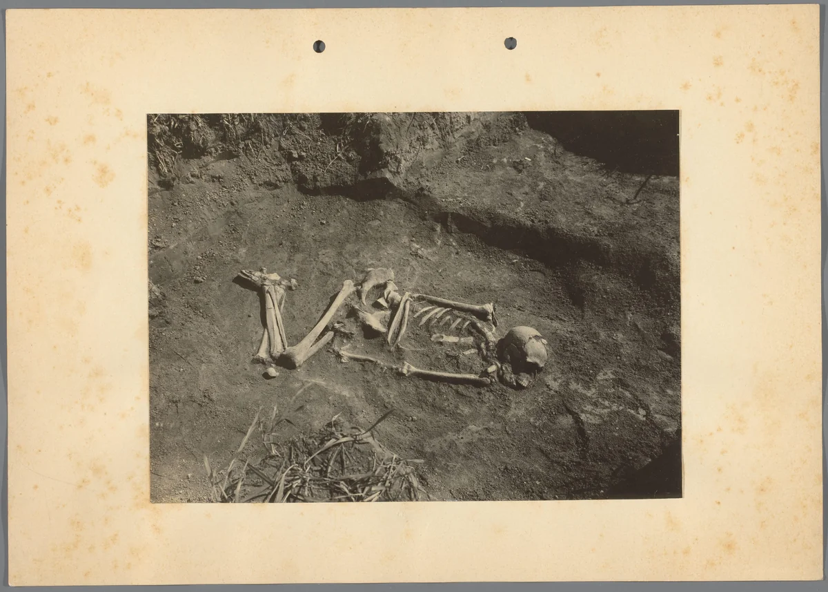 Skelet, gevonden bij archeologische opgravingen te Hongarije by Albert Egges van Giffen, photograph, 1928