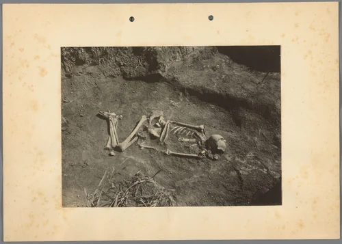 Skelet, gevonden bij archeologische opgravingen te Hongarije by Albert Egges van Giffen, photograph, 1928
