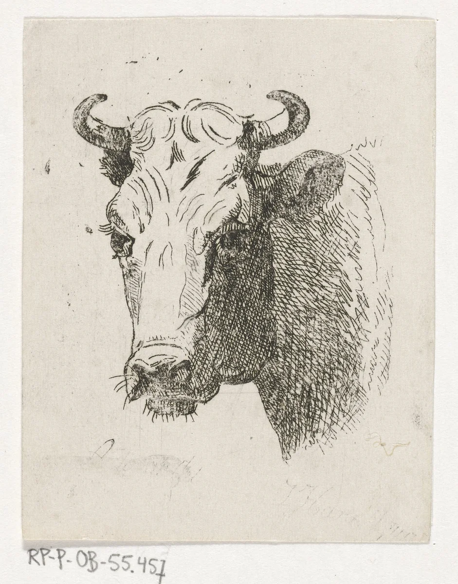 Koeienkop by Johannes Hari, print, 1822-1887