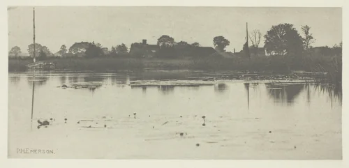 The Fringe of the Mere by Peter Henry Emerson, print, 1883-1887