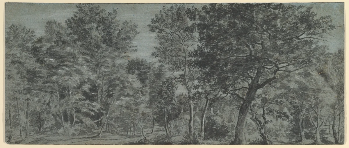 View of a Forest by Joris Abrahamsz. van der Haagen, drawing, 1613-1669