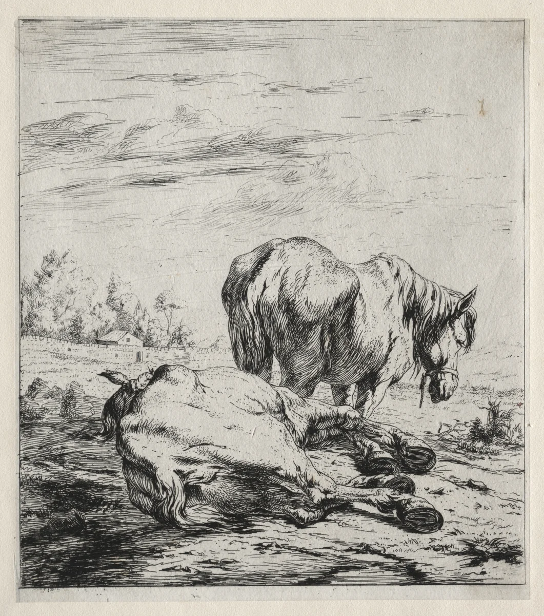 The Two Horses by Charles Meryon, print, 1850