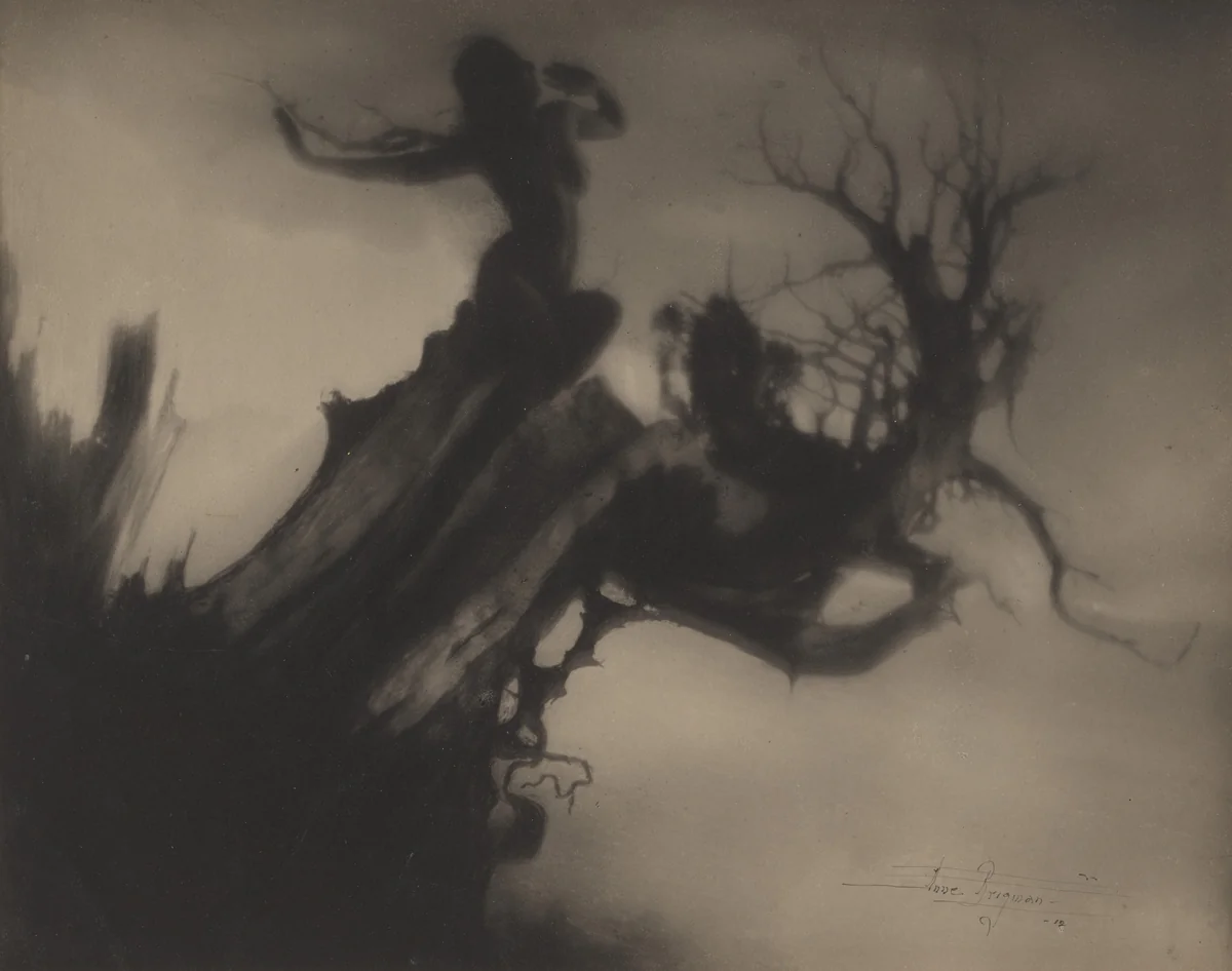The Storm Tree by Anne W. Brigman, photograph, 1911
