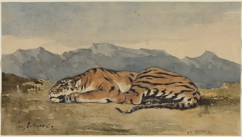 Tiger by Eugène Delacroix, drawing, 1830