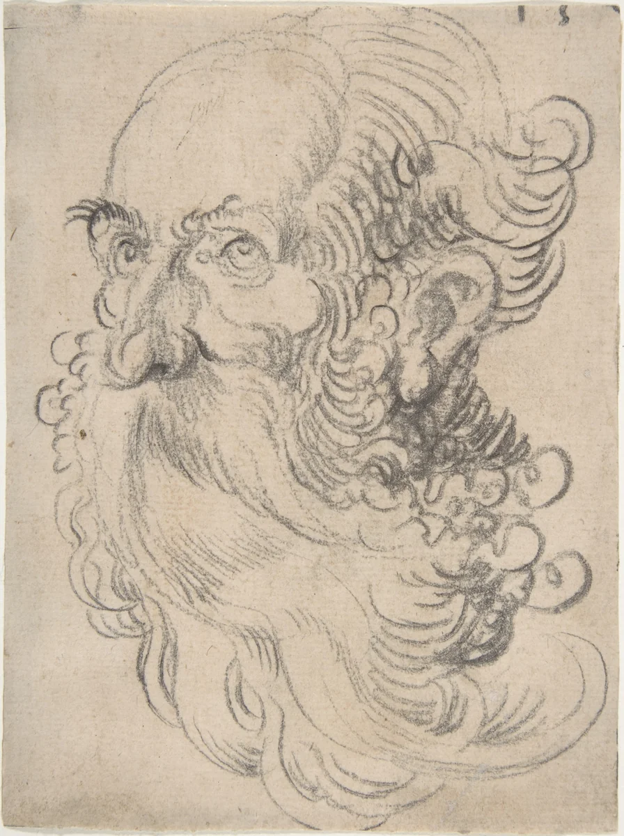 Head of a Bearded Old Man by Wolfgang Huber, drawing, 1520-1529