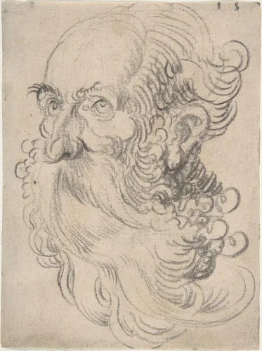 Head of a Bearded Old Man by Wolfgang Huber, drawing, 1520-1529