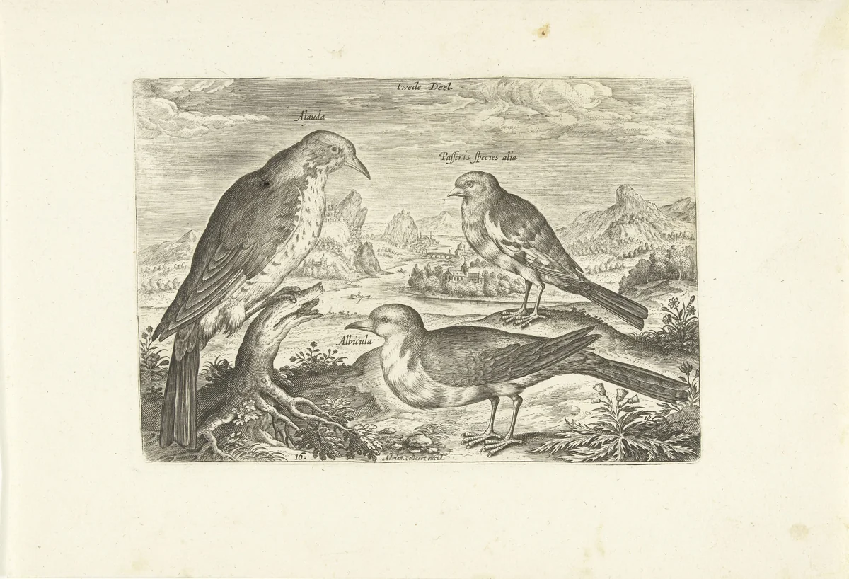 Drie vogels in een landschap by Adriaen Collaert, print, 1598-1602