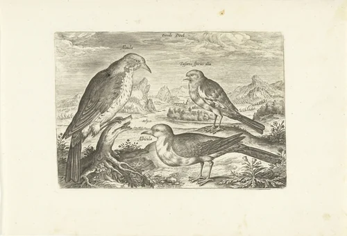 Drie vogels in een landschap by Adriaen Collaert, print, 1598-1602