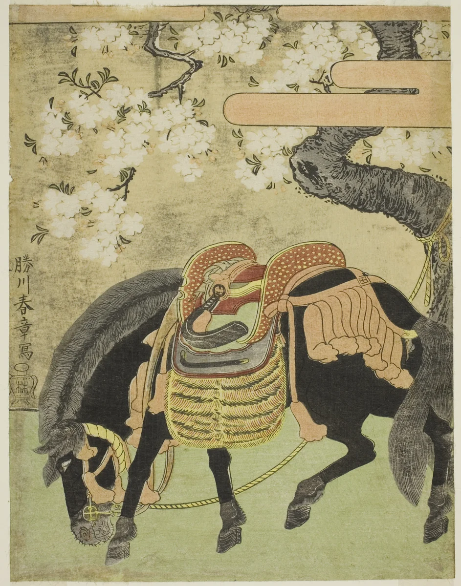 Black Horse Tethered under a Blossoming Cherry Tree by Katsukawa Shunsho (勝川 春章), print, 1765-1775