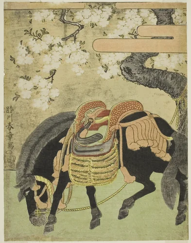 Black Horse Tethered under a Blossoming Cherry Tree by Katsukawa Shunsho (勝川 春章), print, 1765-1775