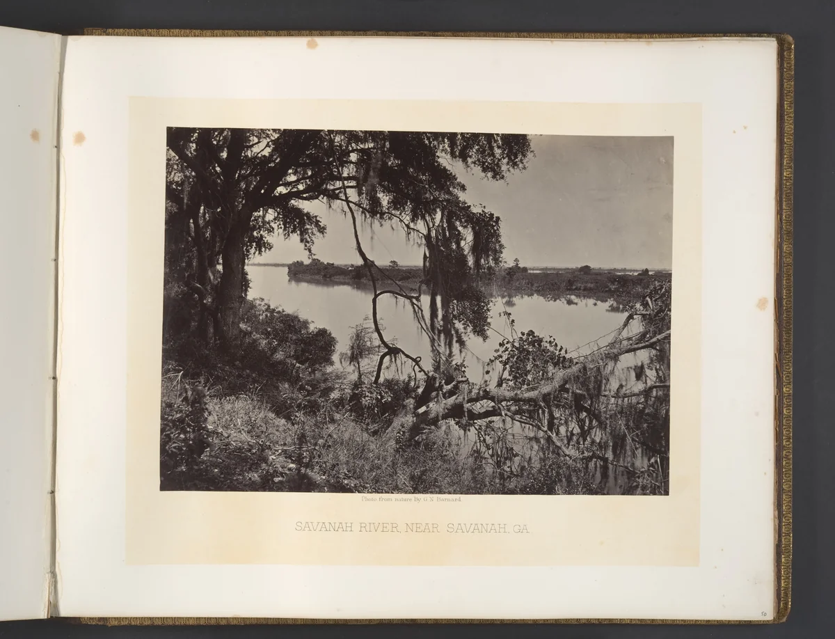 Savanah River, Near Savanah, Georgia by George N. Barnard, photograph, 1860-1869