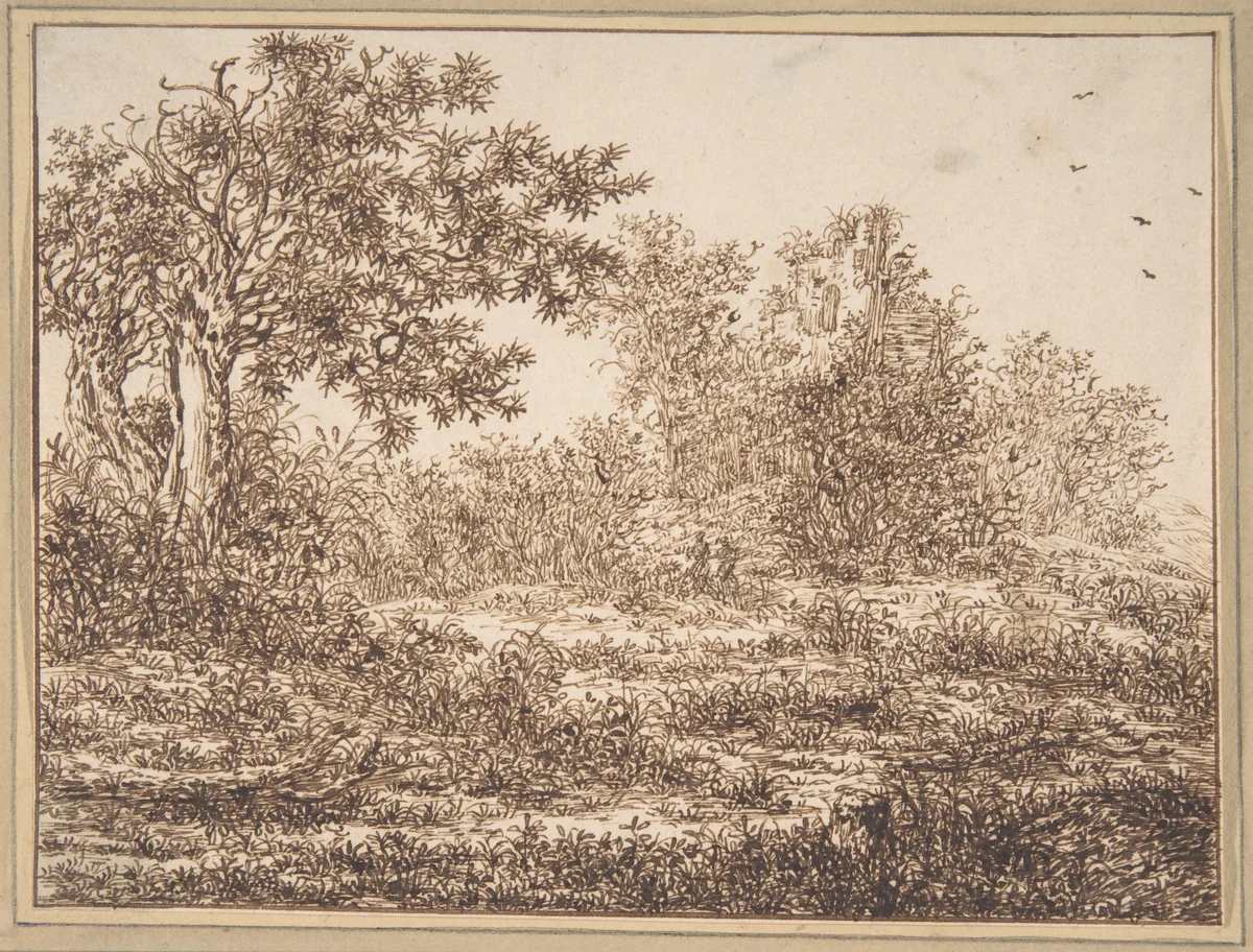 Dune Landscape with Trees by Adriaen Hendriksz. Verboom, drawing, 1640-1684