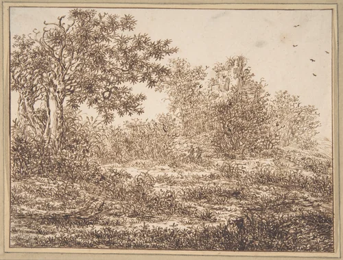 Dune Landscape with Trees by Adriaen Hendriksz. Verboom, drawing, 1640-1684