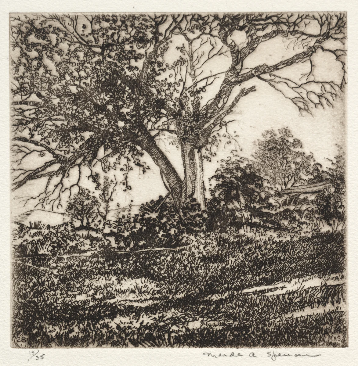 Apple Tree by Meade Ashley Spencer, print, 1928